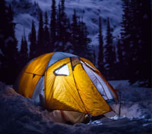雪地森林中夜晚溫暖照亮的黃色帳篷。 — 冬季風景 壁紙