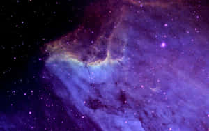 在深空中，鮮豔的紫色和藍色星雲與星星一同發光。 — 最佳黑暗 壁紙