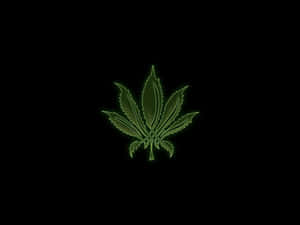 在黑色背景上帶有霓虹燈輪廓的發光綠色大麻葉。 — 酷炫大麻 壁紙