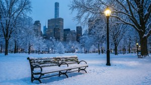 雪地公園長椅被街燈照亮，背景是城市天際線