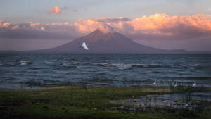 夕陽下，一隻白鳥飛過湖泊，背景是一座雪山火山。 — Pro Display XDR 壁紙