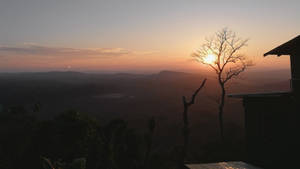 霧氣山脈上的夕陽，光禿樹木剪影和山頂觀景點