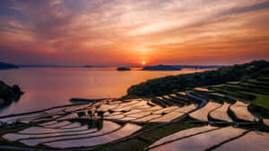 梯田在平靜的水面和遠處的山巒上反射出夕陽的色彩。 — 東京喰種風格 壁紙
