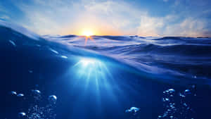 夕陽光線穿過海浪，氣泡在水下浮動。 — 海洋 壁紙
