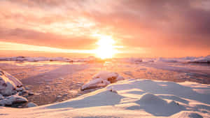 冰凍的北極海岸線沐浴在溫暖的夕陽光中，有積雪的岩石和浮冰。 — 南極洲 壁紙