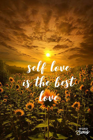 夕陽下的向日葵田，附有文字self love is the best love — 愛情語錄 GIF 壁紙