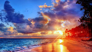 熱帶海灘上的夕陽，有棕櫚樹和發光的海浪 — 海灘 壁紙