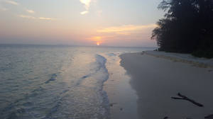 平靜海洋上的夕陽，沙灘上的海浪和樹木的剪影 — 日落 壁紙