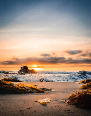 夕陽下的海洋，海浪拍打沙灘上的海藻 — 海灘日落 壁紙