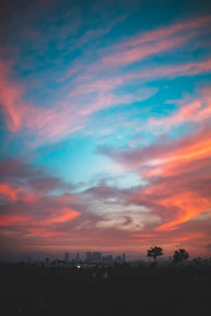 城市和棕櫚樹上空有橙色、粉紅色和藍色雲朵的鮮豔夕陽天空 — 日落 壁紙