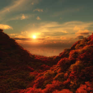 秋日森林山谷在夕陽下，有鮮紅的樹木和金色的天空。 — 日落 壁紙