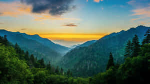 夕陽映照著森林覆蓋的山脈，霧氣彌漫的山谷和鮮豔的天空色彩。 — 山脈 壁紙