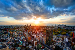 夕陽下密集的城市，金色光芒和戲劇性的雲彩。 — 東京喰種風格 壁紙
