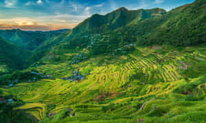 梯田在夕陽下閃耀金光，坐落於翠綠山巒之間，伴隨著一個小村莊。 — 菲律賓 壁紙