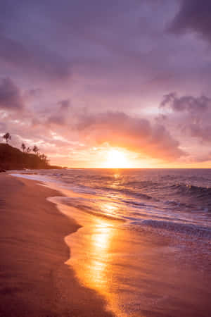 夕陽下的海洋，沙灘上有海浪和棕櫚樹 — 海灘日落 壁紙
