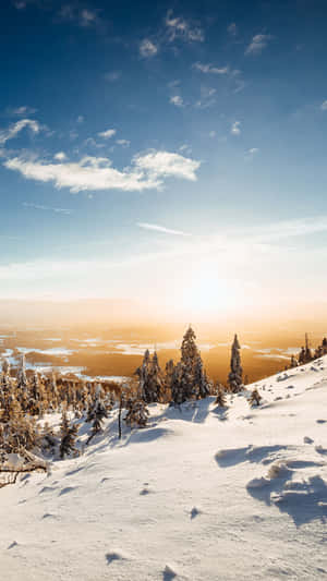 白雪覆蓋的山坡上松樹林立，夕陽俯瞰山谷。 — 精細 壁紙