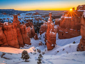 白雪覆蓋的紅色岩石在冬季峽谷中於夕陽下閃耀。 — 日落 壁紙