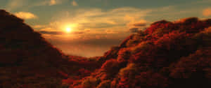 秋山在夕陽天空下，與霧谷一起閃耀著橙色和紅色的樹葉。 — 日落 壁紙