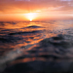 海上的夕陽，發光的水面和柔和焦點的前景。 — 海洋 壁紙
