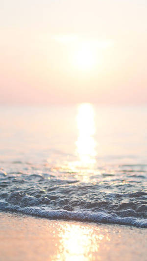夕陽的波浪輕輕親吻沙灘，金色的光芒在水面上反射。 — 日落 壁紙