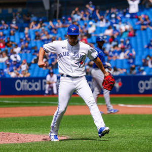 多倫多藍鳥隊投手在晴朗的日子於球場投擲棒球。 — 運動 壁紙
