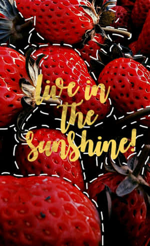 成熟草莓的特寫，金色文字寫著 live in the sunshine。 — Galaxy Tab Active 壁紙
