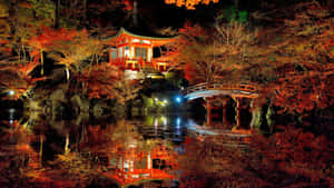 夜晚，秋樹下的水中倒映著一座明亮的日本寺廟和橋樑。 — 日本 壁紙