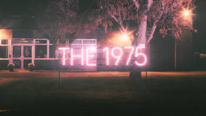 夜晚建築物前寫著 THE 1975 的粉紅色霓虹燈牌。 — 1975樂團 壁紙
