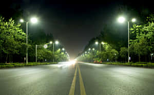 夜晚一條寧靜空蕩的道路，被路燈照亮，兩旁有樹木。 — 光線 壁紙