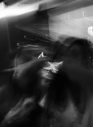 夜晚車內動態模糊，帶有條紋光線和模糊形狀。 — 暗黑美學電腦 壁紙