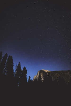 夜晚星空與樹木 — 夜空 壁紙