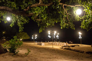 夜晚海灘婚禮餐桌，在發光燈籠和枝葉茂盛的樹木下。 — 海灘 壁紙