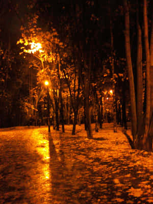 夜晚潮濕的公園小徑被溫暖的街燈照亮，映照在落葉上。 — Kindle 壁紙