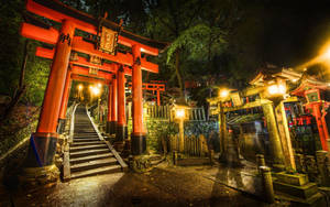 夜晚在森林神社的石階旁發光的紅色鳥居。 — 日本 壁紙
