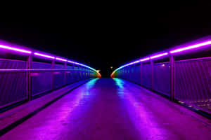 夜晚霓虹燈橋，紫色和藍色燈光反射在潮濕的路面上。 — 霓虹紫 壁紙