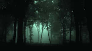 夜晚樹幹之間有霧氣和綠色光芒的黑暗森林。 — 魔法森林 壁紙