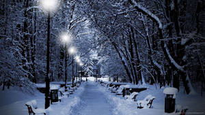 夜晚積雪的公園小徑，發光的街燈和積雪的長椅。 — 冬季風景 壁紙