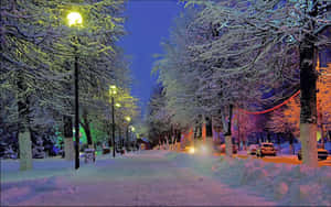 夜晚積雪的街道，樹木和停泊的汽車上閃爍著彩色燈光。 — 冬季桌面 壁紙