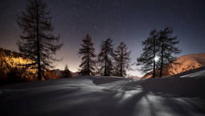 被雪覆蓋的山脊，在星空和月光下，有松樹。 — 深色窗戶 壁紙