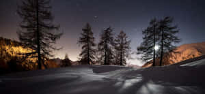夜晚被雪覆蓋的山脈，明亮的月亮下樹木和星星。 — 森林景觀 壁紙