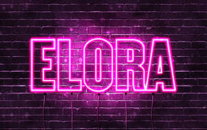 夜間潮濕的磚牆上，一個粉紅色霓虹燈牌寫著ELORA。 — 霓虹紫 壁紙