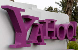 白色牆壁上帶有樹木背景的紫色Yahoo標誌。 — 雅虎 壁紙