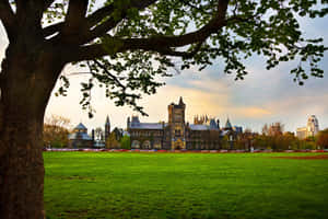 大學背景 — MacBook Air M4 壁紙