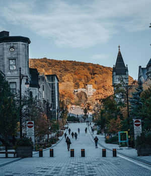 大學背景 — 小米 Mix Flip 2 壁紙