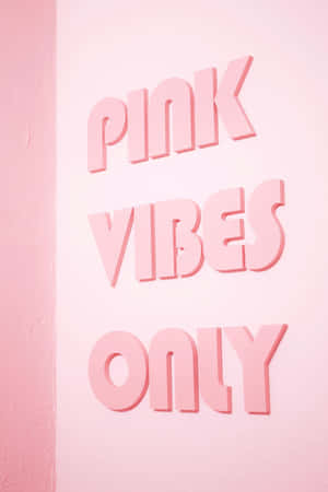 粉紅色3D字母在粉紅色牆上寫著pink vibes only。 — 動畫女孩 壁紙