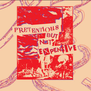 圖形設計，米色背景上有大膽的紅色文字寫著「Pretentious but not expensive」。 — 抽象 壁紙