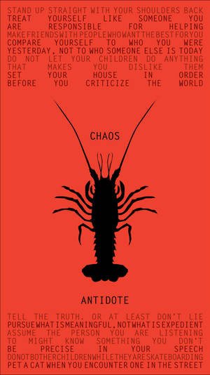 黑色龍蝦剪影標有 chaos 並在紅色背景上有勵志文字 — 海鮮 壁紙