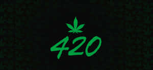 深色大麻葉圖案背景上的綠色420文字，帶有葉子符號。 — 暗色花卉 壁紙