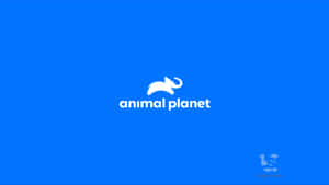 藍色背景上帶有白色大象剪影的 Animal Planet 標誌 — 野生動物 壁紙