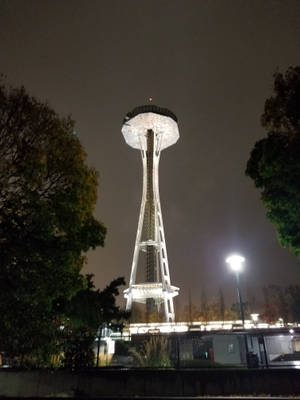 夜晚點亮的太空針塔，前景有樹木和街燈 — 3:4 壁紙